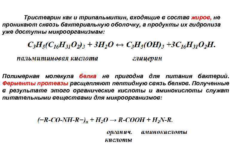 Тристеарин как и трипальмитин, входящие в состав жиров, не проникают сквозь бактериальную оболочку, а