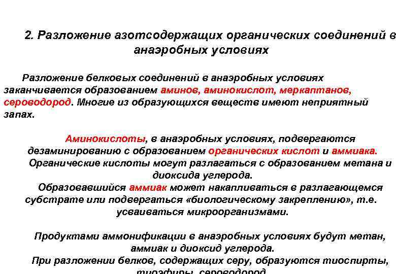 2. Разложение азотсодержащих органических соединений в анаэробных условиях Разложение белковых соединений в анаэробных условиях