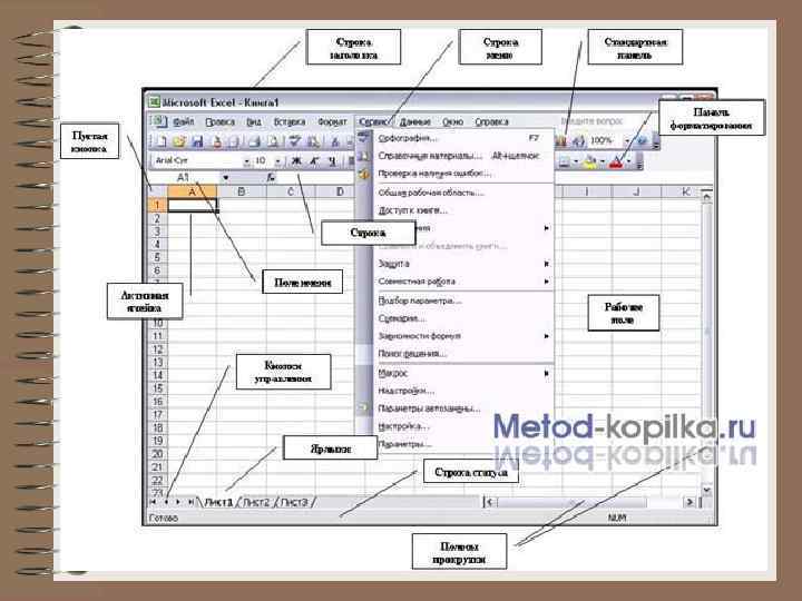 Обзор наиболее популярных табличных процессоров microsoft excel