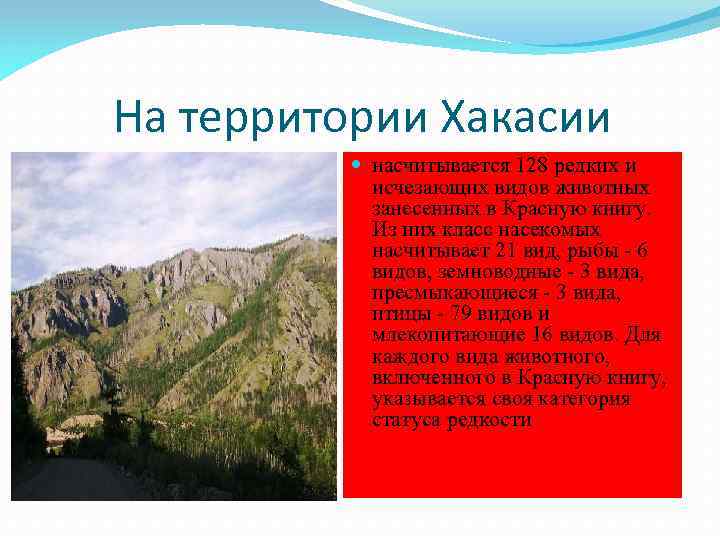 На территории Хакасии насчитывается 128 редких и исчезающих видов животных занесенных в Красную книгу.