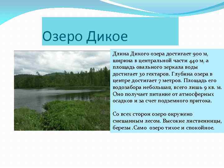 Озеро Дикое Длина Дикого озера достигает 900 м, ширина в центральной части 440 м,