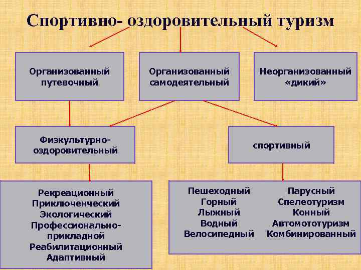 Спортивно оздоровительный туризм Организованный путевочный Физкультурнооздоровительный Рекреационный Приключенческий Экологический Профессиональноприкладной Реабилитационный Адаптивный Организованный самодеятельный