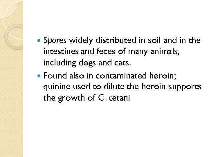  Spores widely distributed in soil and in the intestines and feces of many