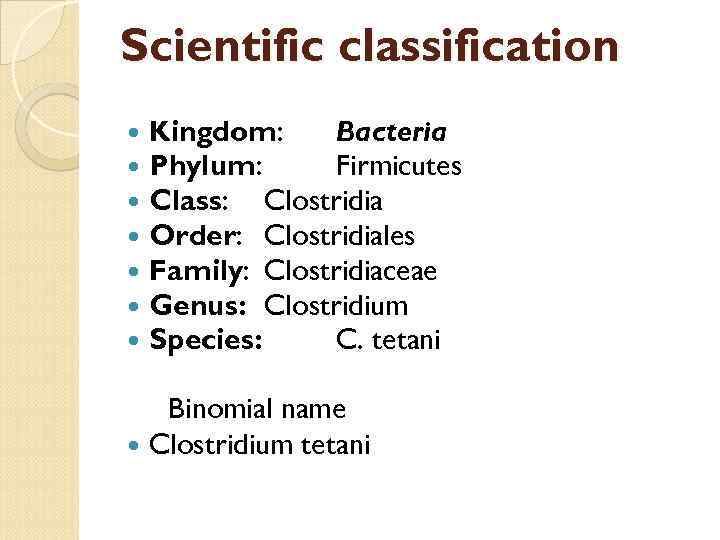 Scientific classification Kingdom: Bacteria Phylum: Firmicutes Class: Clostridia Order: Clostridiales Family: Clostridiaceae Genus: Clostridium