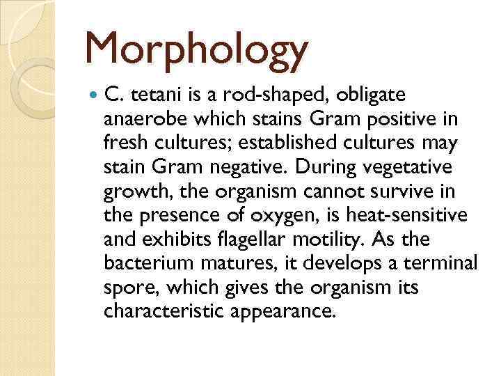 Morphology C. tetani is a rod-shaped, obligate anaerobe which stains Gram positive in fresh