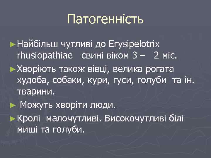 Патогенність ► Найбільш чутливі до Егysipelotrix rhusiopathiae свині віком 3 – 2 міс. ►
