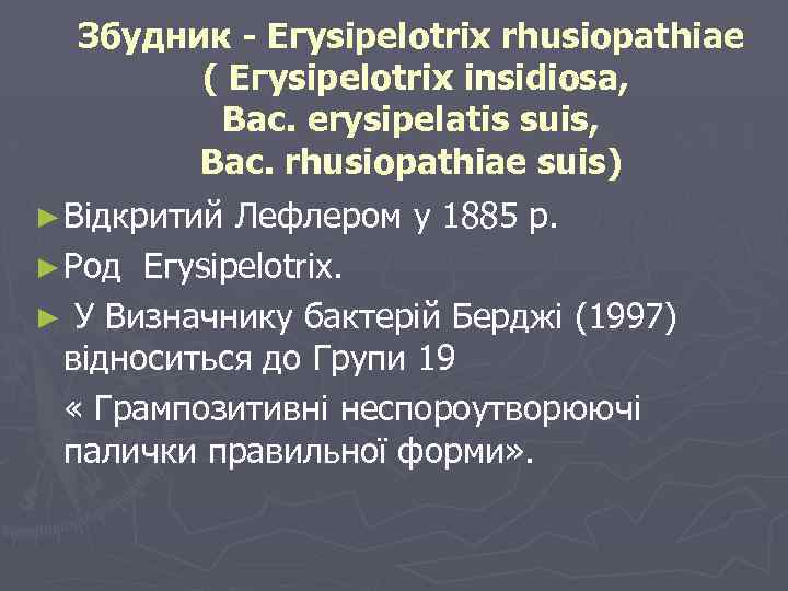 Збудник - Егysipelotrix rhusiopathiae ( Егysipelotrix insidiosa, Bac. erysipelatis suis, Bac. rhusiopathiae suis) ►