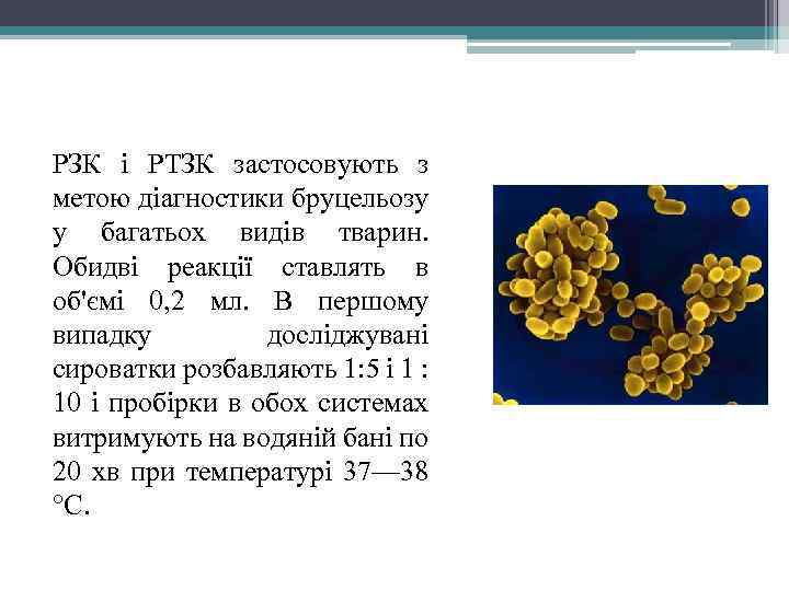 РЗК і РТЗК застосовують з метою діагностики бруцельозу у багатьох видів тварин. Обидві реакції