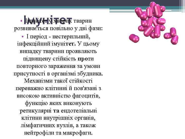 Імунітет • Імунітет у хворих тварин розвивається повільно у дві фази: • І період