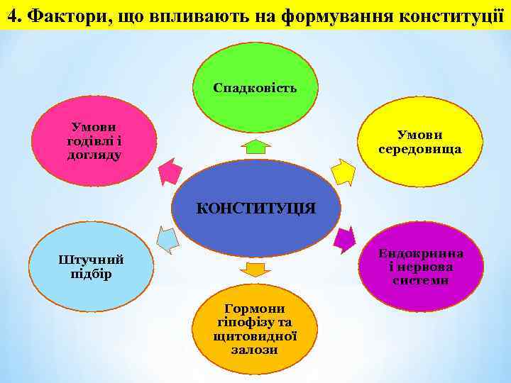 4. Фактори, що впливають на формування конституції Спадковість Умови годівлі і догляду Умови середовища