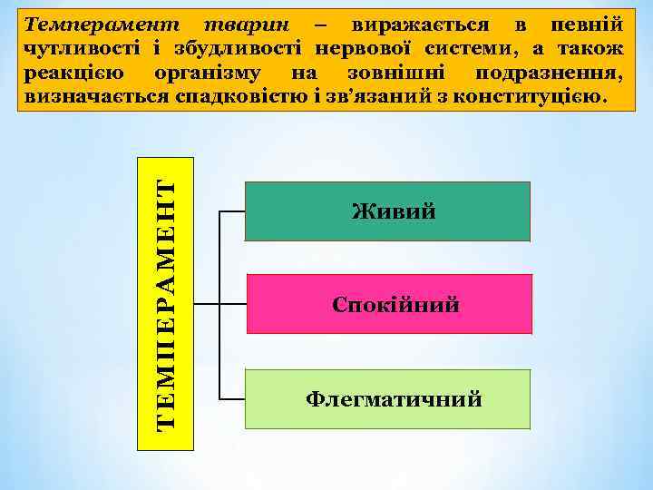 ТЕМПЕРАМЕНТ Темперамент тварин – виражається в певній чутливості і збудливості нервової системи, а також