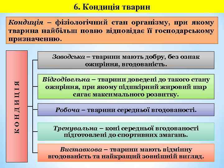 6. Кондиція тварин Кондиція – фізіологічний стан організму, при якому тварина найбільш повно відповідає