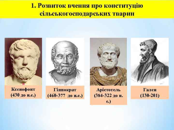1. Розвиток вчення про конституцію сільськогосподарських тварин Ксенофонт (430 до н. е. ) Гіппократ