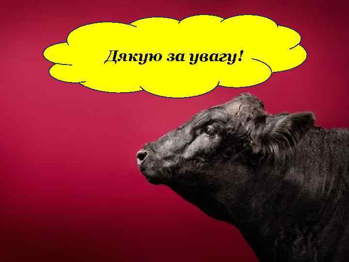 Дякую за увагу! 