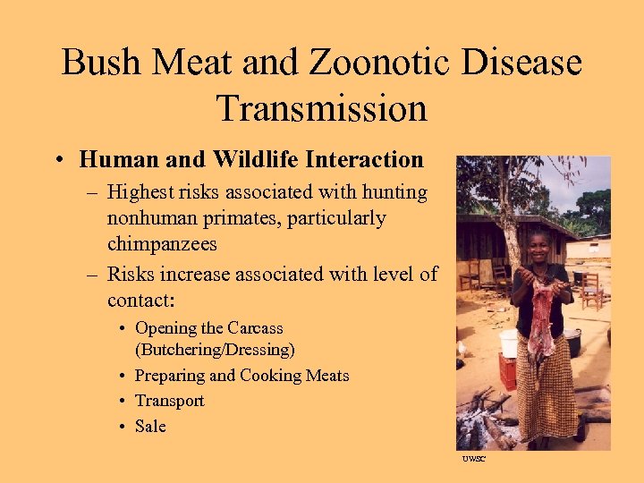 Bush Meat and Zoonotic Disease Transmission • Human and Wildlife Interaction – Highest risks