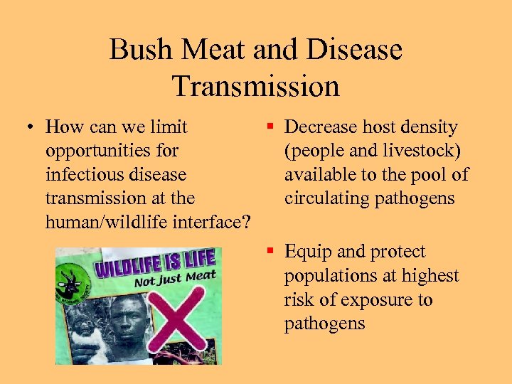 Bush Meat and Disease Transmission • How can we limit § Decrease host density