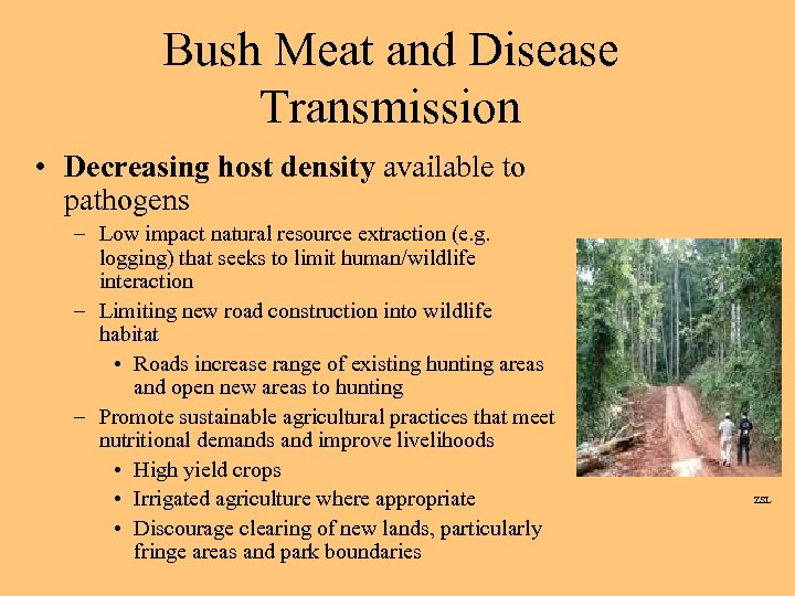 Bush Meat and Disease Transmission • Decreasing host density available to pathogens – Low