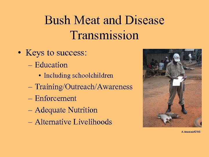 Bush Meat and Disease Transmission • Keys to success: – Education • Including schoolchildren