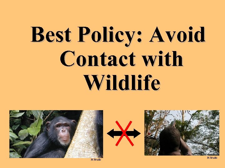 Best Policy: Avoid Contact with Wildlife N. Wolfe 