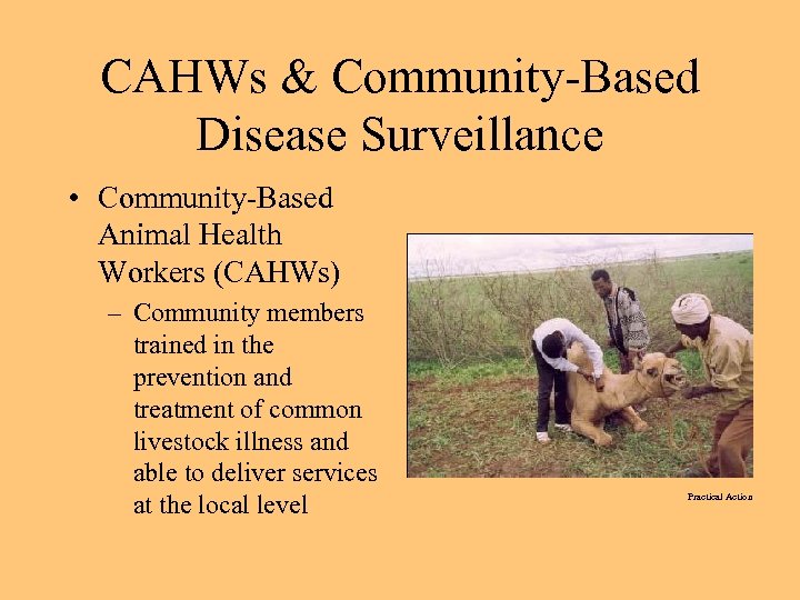 CAHWs & Community-Based Disease Surveillance • Community-Based Animal Health Workers (CAHWs) – Community members