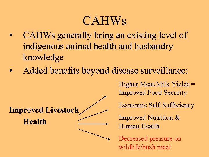 CAHWs • • CAHWs generally bring an existing level of indigenous animal health and