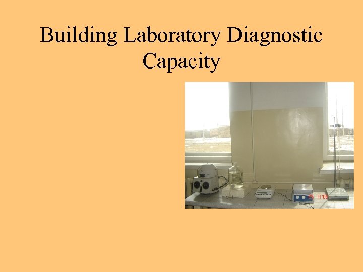 Building Laboratory Diagnostic Capacity 