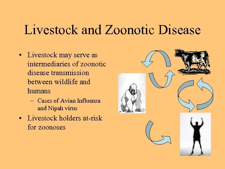 Livestock and Zoonotic Disease • Livestock may serve as intermediaries of zoonotic disease transmission