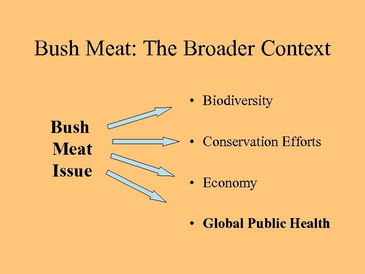 Bush Meat: The Broader Context • Biodiversity Bush Meat Issue • Conservation Efforts •