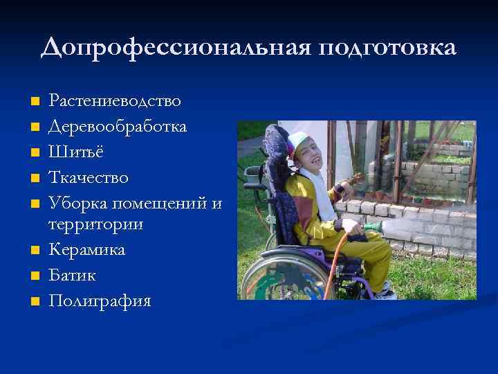 Допрофессиональная подготовка n n n n Растениеводство Деревообработка Шитьё Ткачество Уборка помещений и территории