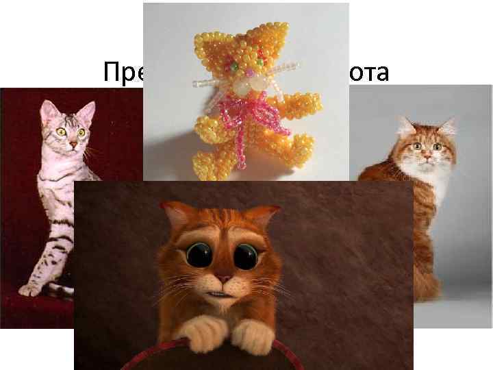 Представьте себе кота 