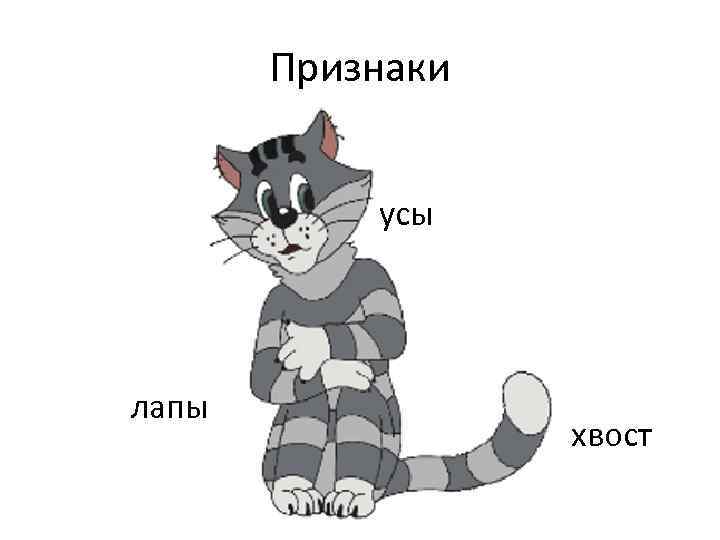 Признаки усы лапы хвост 