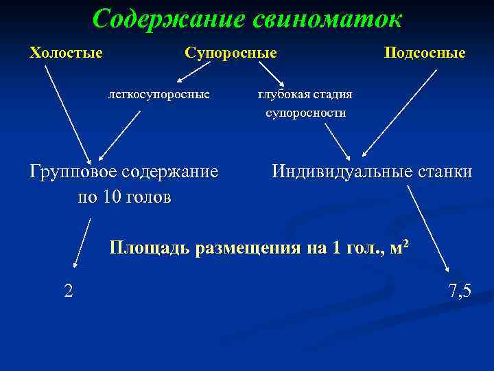Содержание свиноматок Холостые Супоросные Подсосные легкосупоросные глубокая стадия супоросности Групповое содержание Индивидуальные станки по