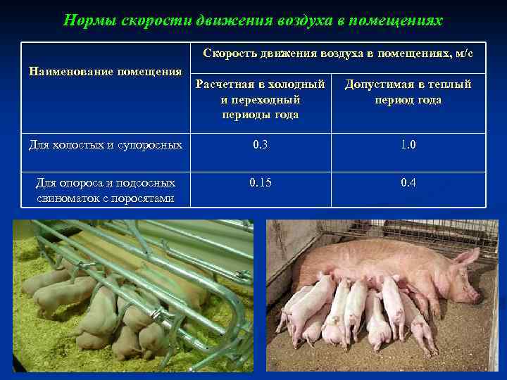 Нормы скорости движения воздуха в помещениях Скорость движения воздуха в помещениях, м/с Наименование помещения