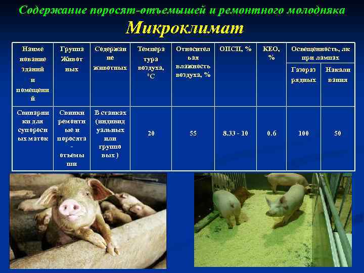 Содержание поросят-отъемышей и ремонтного молодняка Микроклимат Наиме нование зданий и помещени й Группа Живот