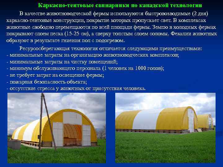 Каркасно-тентовые свинарники по канадской технологии В качестве животноводческой фермы используются быстровозводимые (2 дня) каркасно-тентовые
