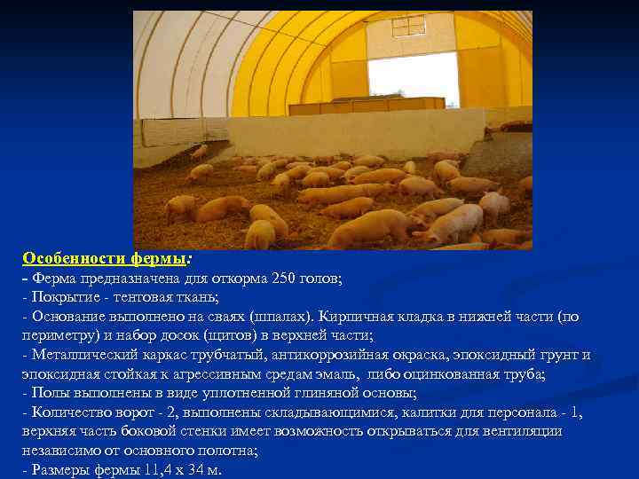 Особенности фермы: - Ферма предназначена для откорма 250 голов; - Покрытие - тентовая ткань;