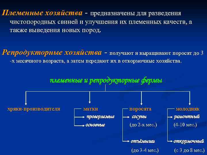 Племенные хозяйства - предназначены для разведения чистопородных свиней и улучшения их племенных качеств, а