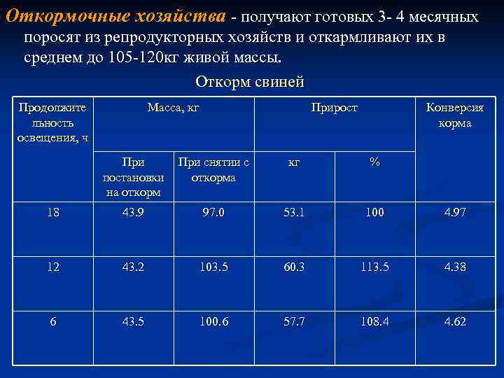 Откормочные хозяйства - получают готовых 3 - 4 месячных поросят из репродукторных хозяйств и
