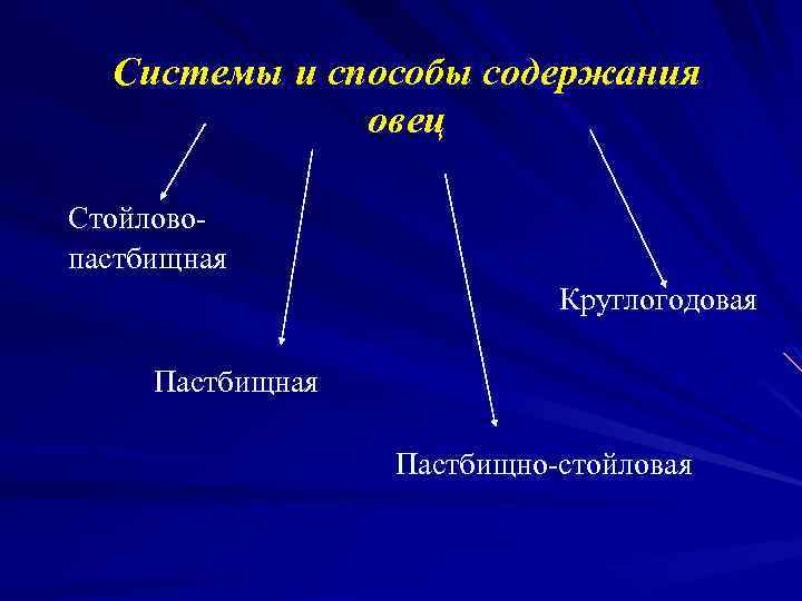 Способы содержания