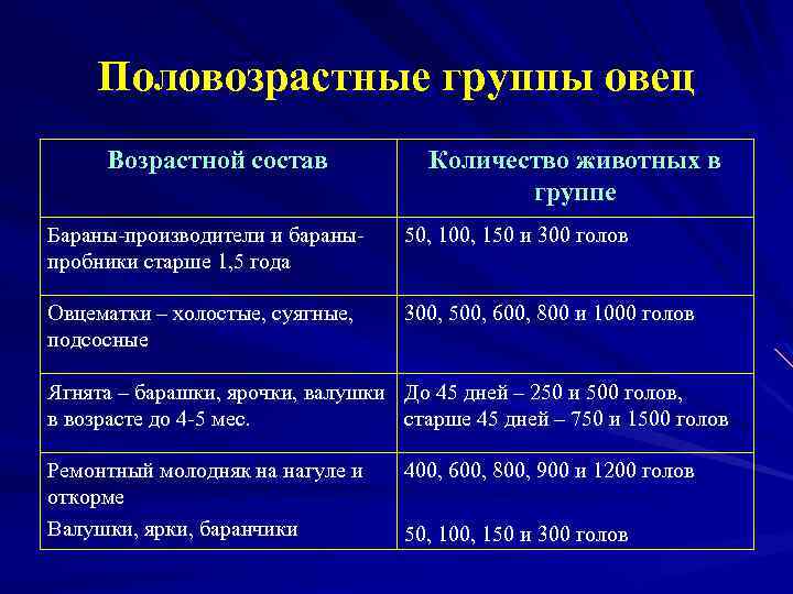 Содержание ярок. Половозрастные группы овец. Возрастные группы овец. Классификация овец по возрасту. Половозрастные группы коров.