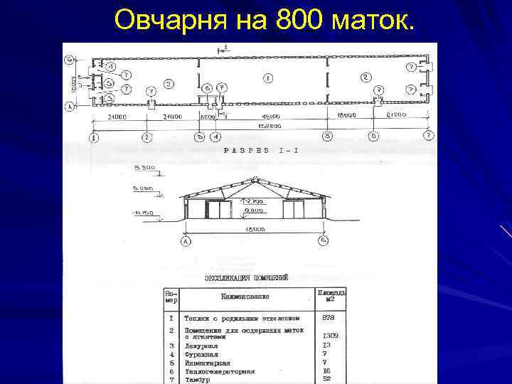 Строительство овчарни для овец на 100 голов проект