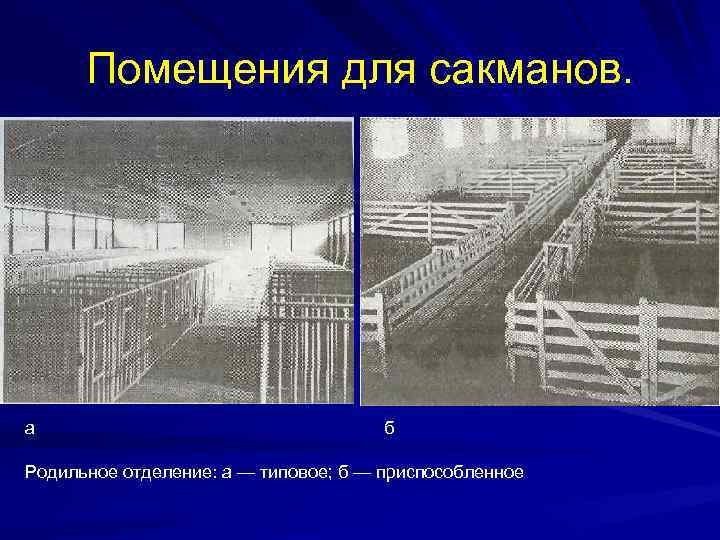 Помещения для сакманов. а б Родильное отделение: а — типовое; б — приспособленное 