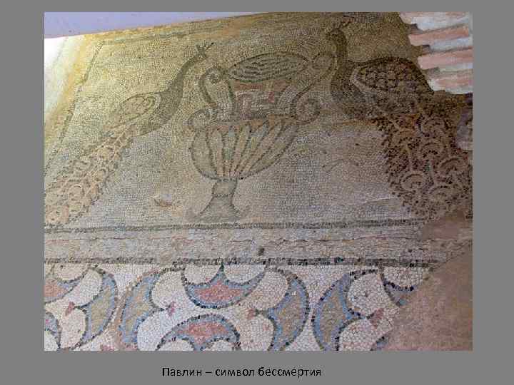 Павлин – символ бессмертия 