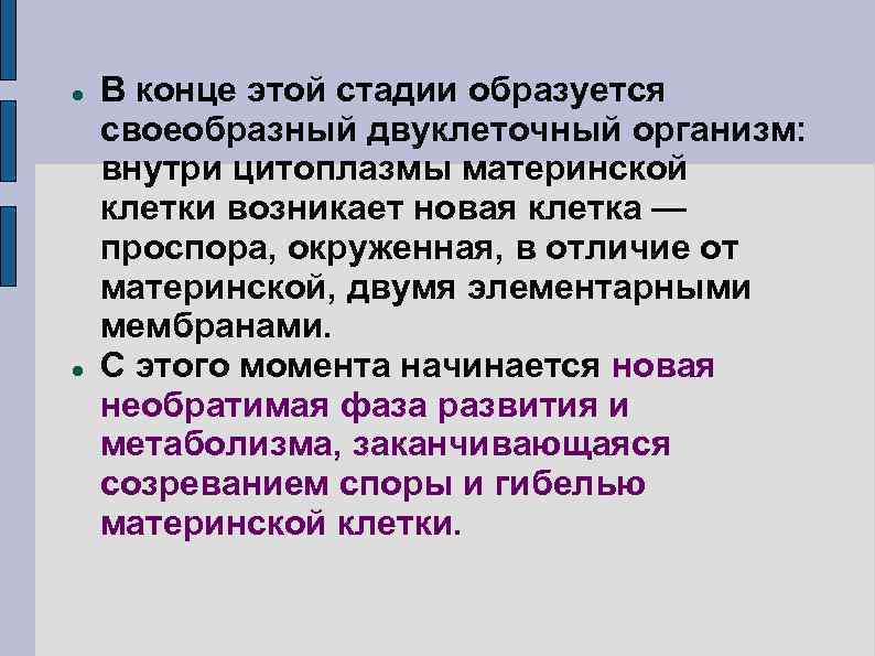  В конце этой стадии образуется своеобразный двуклеточный организм: внутри цитоплазмы материнской клетки возникает