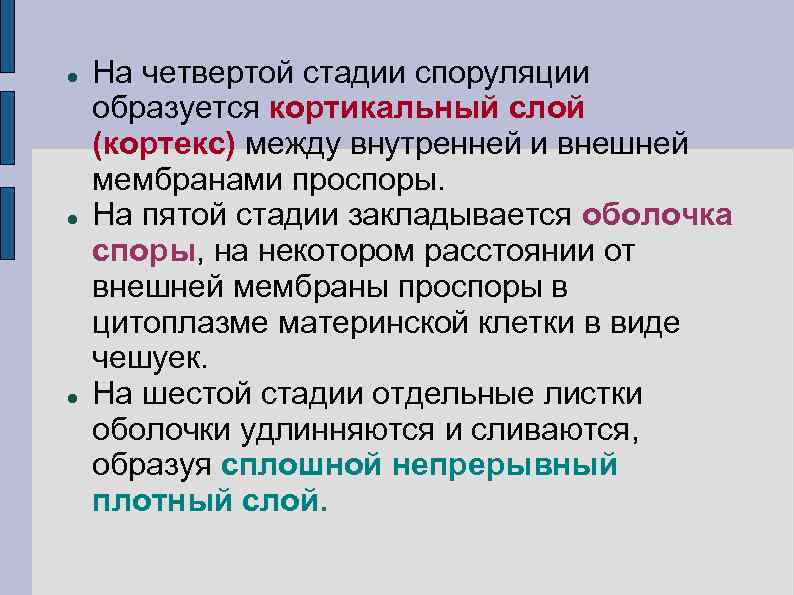  На четвертой стадии споруляции образуется кортикальный слой (кортекс) между внутренней и внешней мембранами