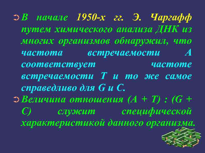 ➲В начале 1950 -х гг. Э. Чаргафф путем химического анализа ДНК из многих организмов