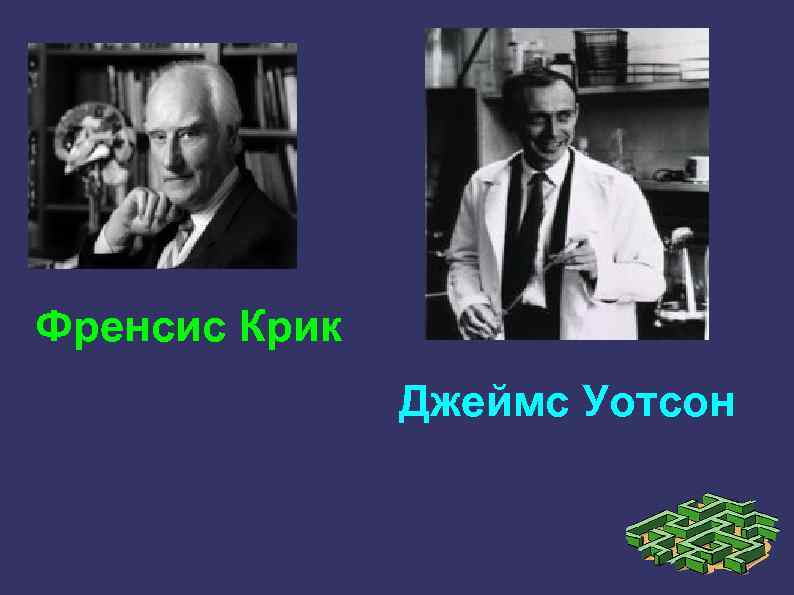 Френсис Крик Джеймс Уотсон 