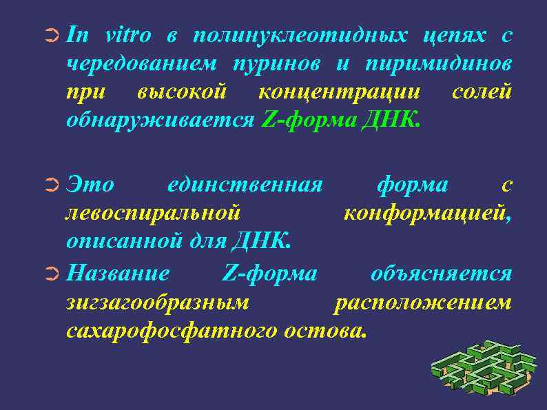➲ In vitro в полинуклеотидных цепях с чередованием пуринов и пиримидинов при высокой концентрации
