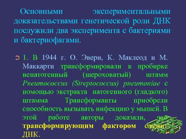 Основными экспериментальными доказательствами генетической роли ДНК послужили два эксперимента с бактериями и бактериофагами. ➲