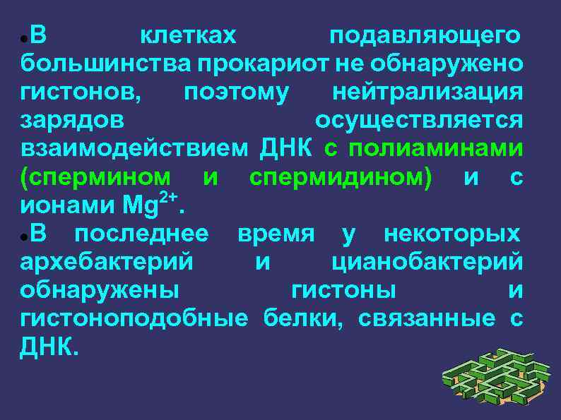 В клетках подавляющего большинства прокариот не обнаружено гистонов, поэтому нейтрализация зарядов осуществляется взаимодействием ДНК